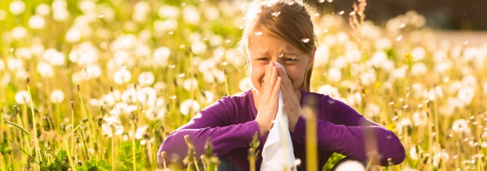 alergia primaveral