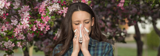 alergia estacional
