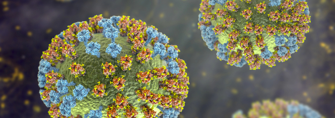 virus influenza H3N2