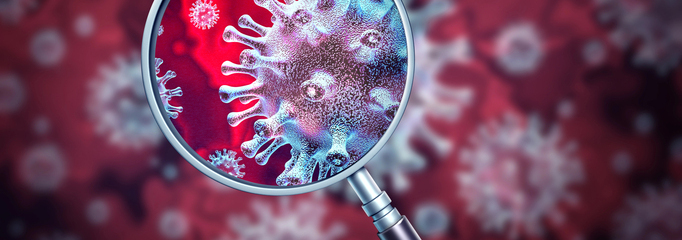 Metapneumovirus