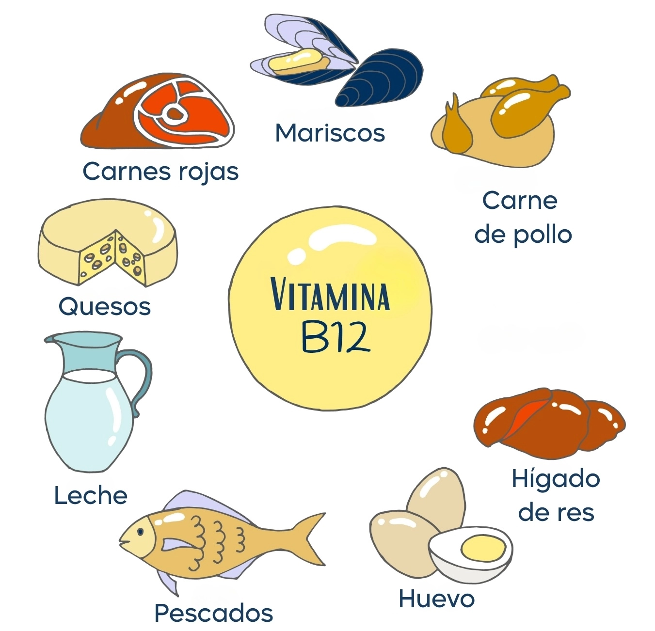 alimentos con vitamina b12